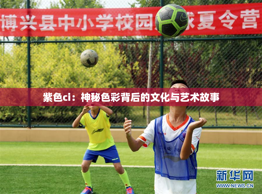 紫色ci：神秘色彩背后的文化与艺术故事