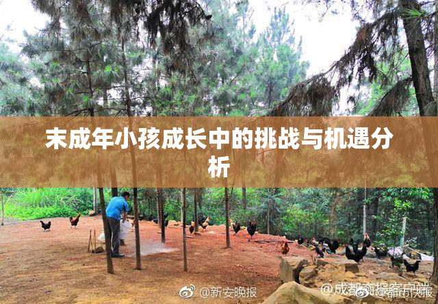 末成年小孩成长中的挑战与机遇分析