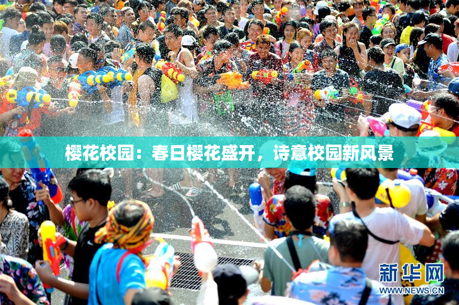 樱花校园：春日樱花盛开，诗意校园新风景