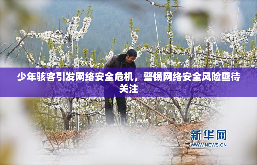 少年骇客引发网络安全危机，警惕网络安全风险亟待关注
