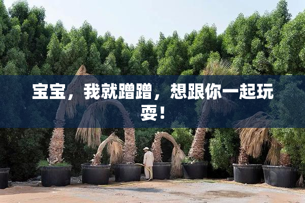 宝宝，我就蹭蹭，想跟你一起玩耍！