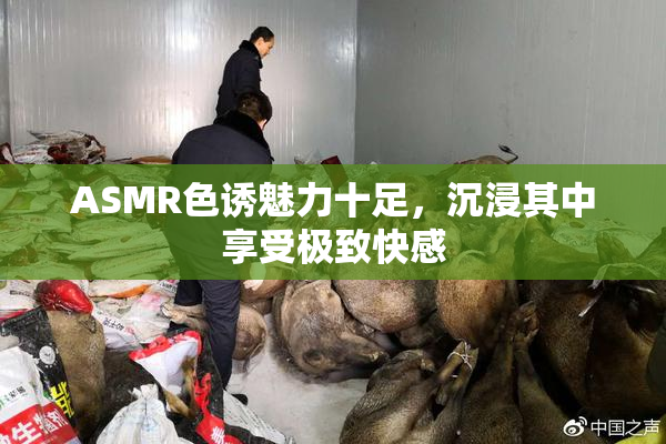 ASMR色诱魅力十足，沉浸其中享受极致快感