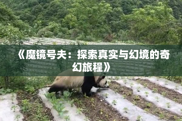 《魔镜号夫：探索真实与幻境的奇幻旅程》