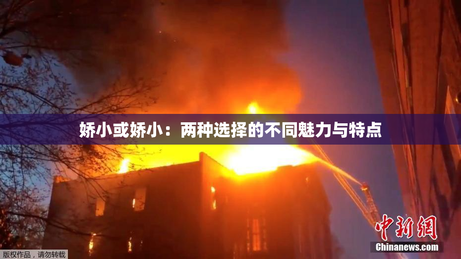娇小或娇小：两种选择的不同魅力与特点