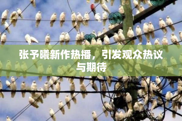 张予曦新作热播，引发观众热议与期待