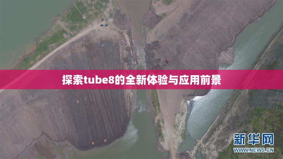 探索tube8的全新体验与应用前景