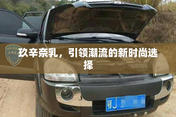 玖辛奈乳，引领潮流的新时尚选择