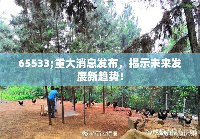 65533;重大消息发布，揭示未来发展新趋势！