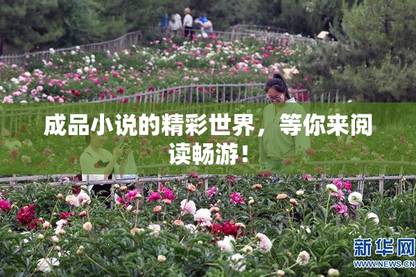 成品小说的精彩世界，等你来阅读畅游！