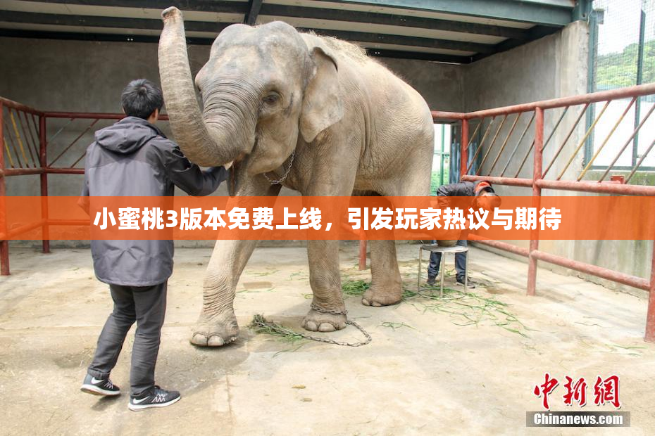 小蜜桃3版本免费上线，引发玩家热议与期待