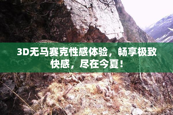 3D无马赛克性感体验，畅享极致快感，尽在今夏！