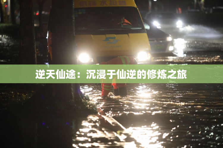 逆天仙途：沉浸于仙逆的修炼之旅