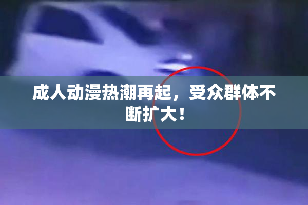 成人动漫热潮再起，受众群体不断扩大！