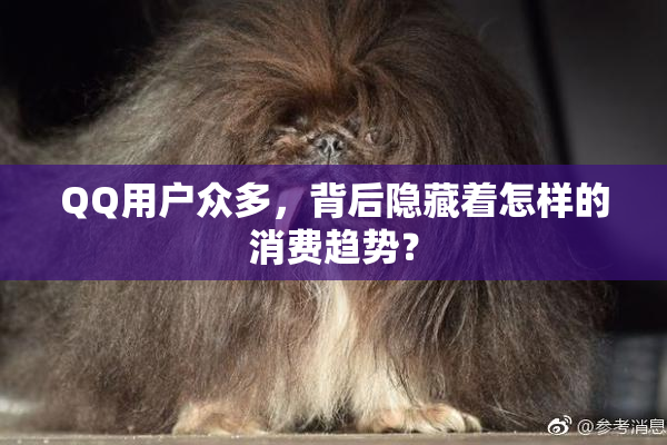 QQ用户众多，背后隐藏着怎样的消费趋势？