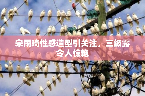 宋雨琦性感造型引关注，三级露令人惊艳