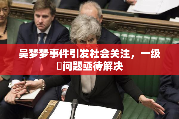 吴梦梦事件引发社会关注，一级婬问题亟待解决