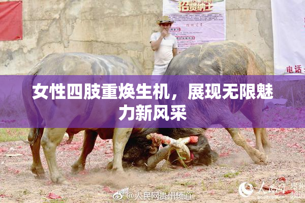 女性四肢重焕生机，展现无限魅力新风采