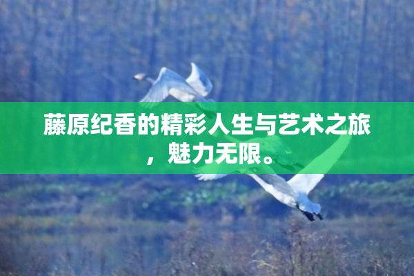 藤原纪香的精彩人生与艺术之旅，魅力无限。