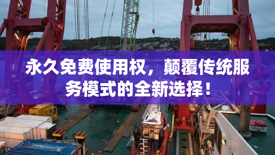 永久免费使用权，颠覆传统服务模式的全新选择！