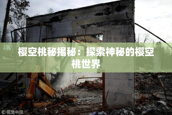 樱空桃秘揭秘：探索神秘的樱空桃世界