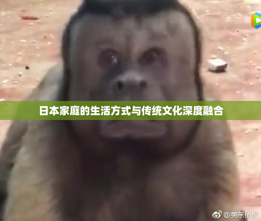 日本家庭的生活方式与传统文化深度融合