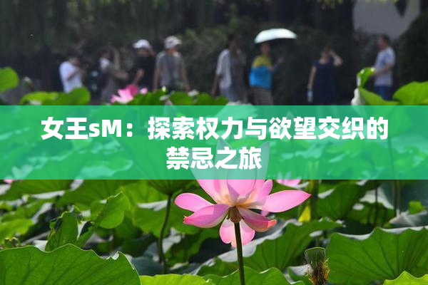 女王sM：探索权力与欲望交织的禁忌之旅