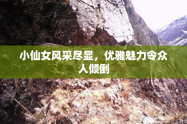 小仙女风采尽显，优雅魅力令众人倾倒
