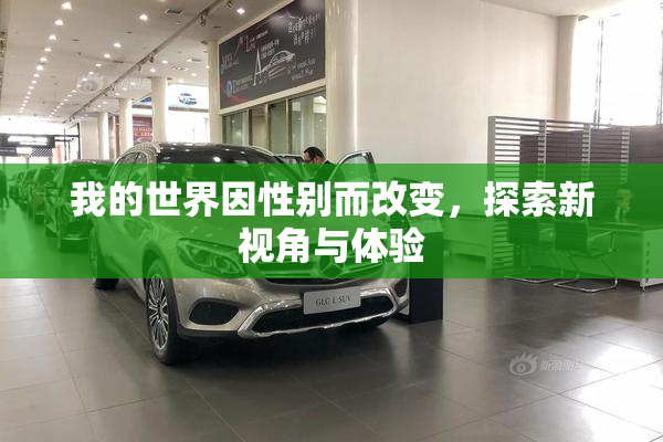 我的世界因性别而改变，探索新视角与体验