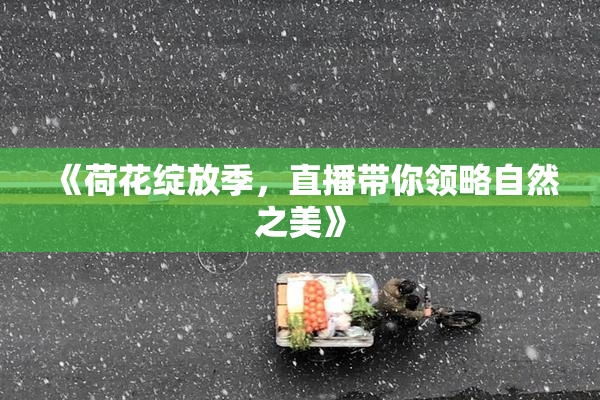 《荷花绽放季，直播带你领略自然之美》