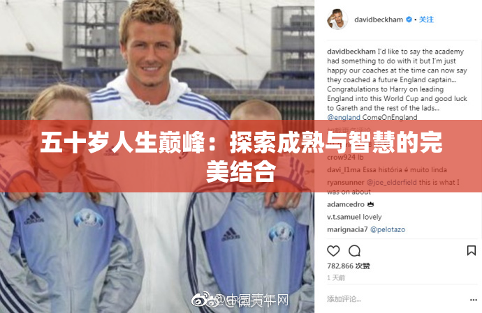 五十岁人生巅峰：探索成熟与智慧的完美结合