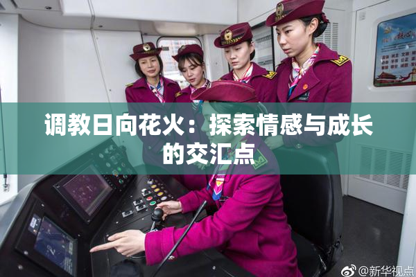 调教日向花火：探索情感与成长的交汇点