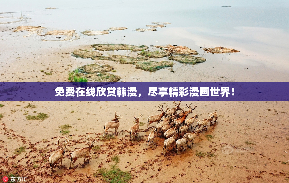 免费在线欣赏韩漫，尽享精彩漫画世界！