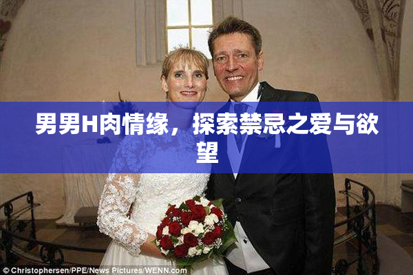 男男H肉情缘，探索禁忌之爱与欲望