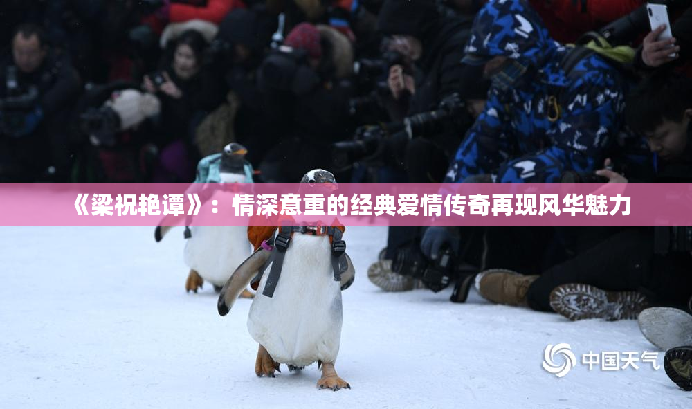 《梁祝艳谭》：情深意重的经典爱情传奇再现风华魅力