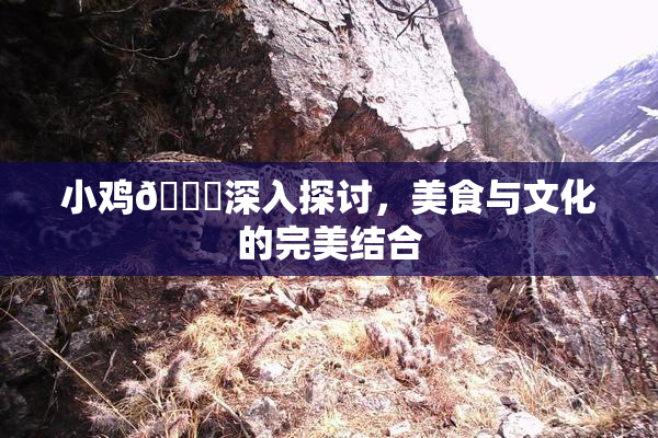 小鸡🐔深入探讨，美食与文化的完美结合