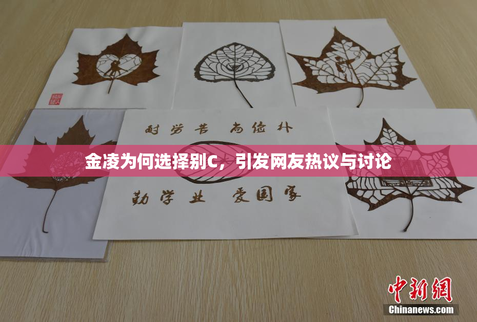 金凌为何选择别C，引发网友热议与讨论