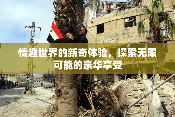 情趣世界的新奇体验，探索无限可能的豪华享受