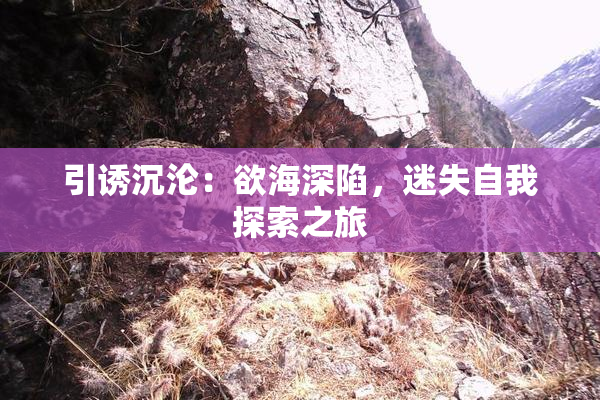 引诱沉沦：欲海深陷，迷失自我探索之旅