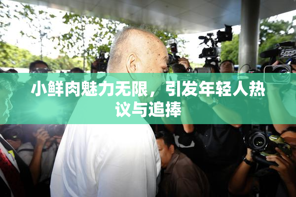 小鲜肉魅力无限，引发年轻人热议与追捧