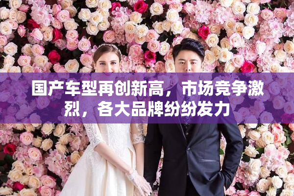 国产车型再创新高，市场竞争激烈，各大品牌纷纷发力