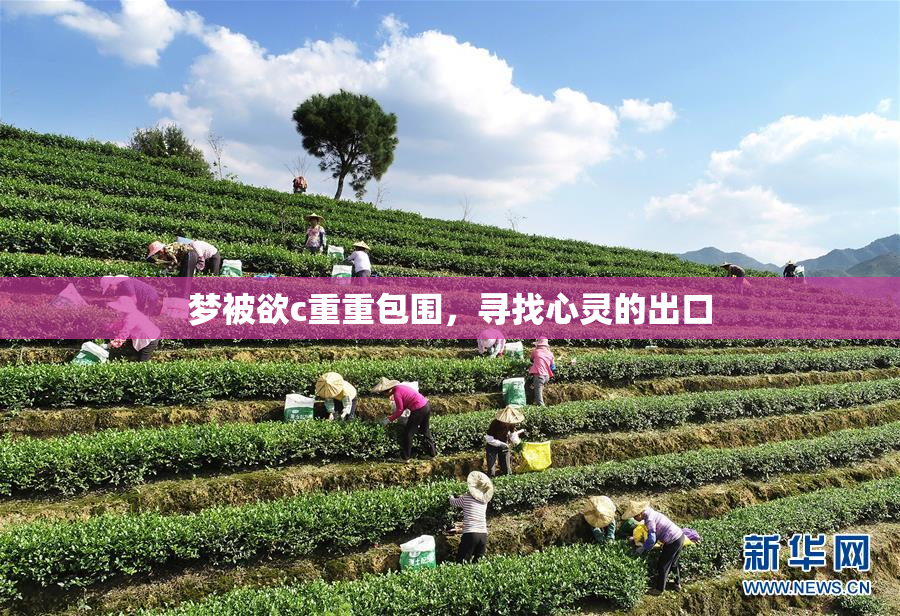 梦被欲c重重包围，寻找心灵的出口