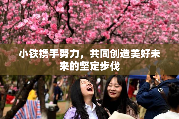 小铁携手努力，共同创造美好未来的坚定步伐