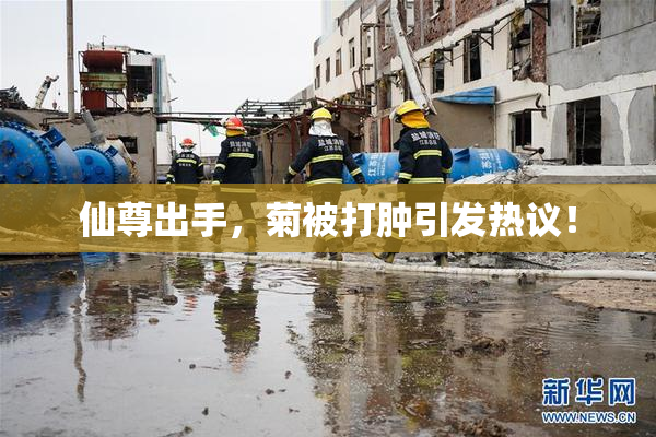仙尊出手，菊被打肿引发热议！