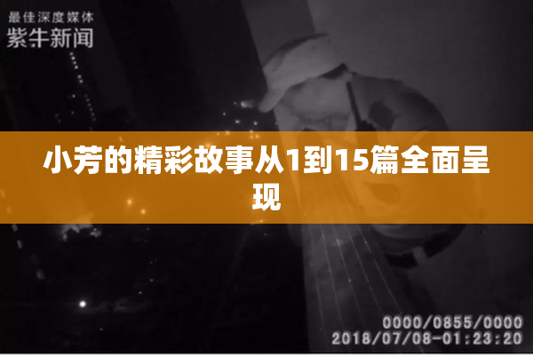 小芳的精彩故事从1到15篇全面呈现