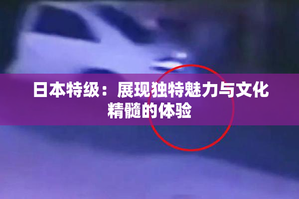 日本特级：展现独特魅力与文化精髓的体验