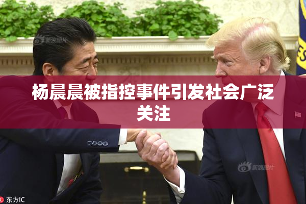 杨晨晨被指控事件引发社会广泛关注