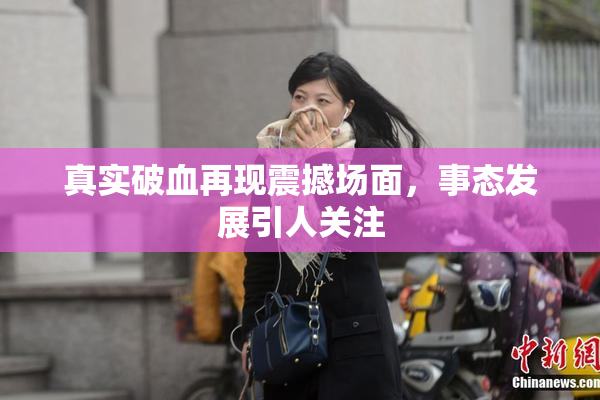 真实破血再现震撼场面，事态发展引人关注