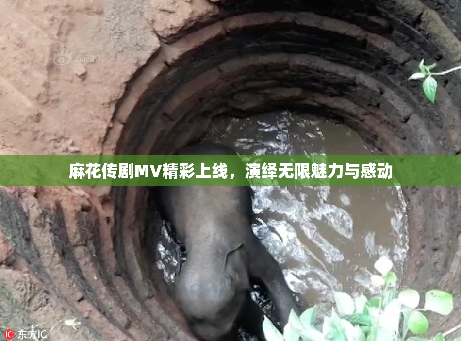 麻花传剧MV精彩上线，演绎无限魅力与感动