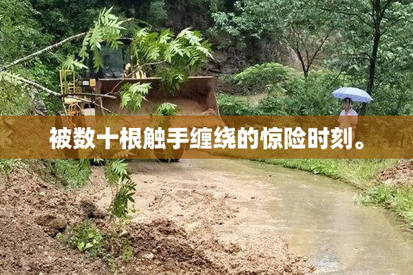 被数十根触手缠绕的惊险时刻。