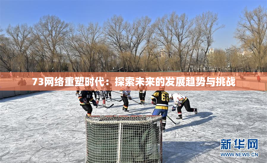 73网络重塑时代：探索未来的发展趋势与挑战